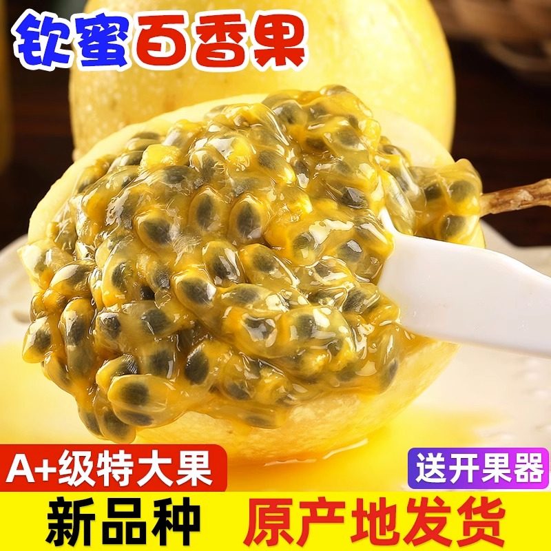 新品钦蜜9号黄金百香果新鲜水果当季整箱百香果包邮大原果浆批发