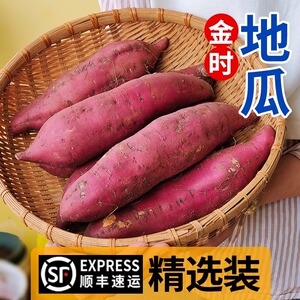 新鲜红薯 日本鸣门金时红薯烤红薯地瓜甜糯板栗番薯红薯蜜薯5斤装
