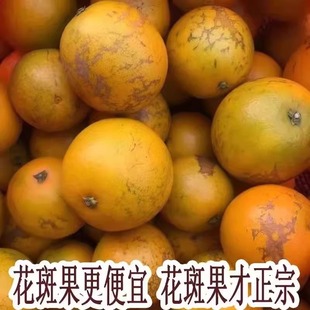 实建花斑果云南玉溪冰糖橙10斤装高原王子哀牢山储褚甜橙新鲜水果