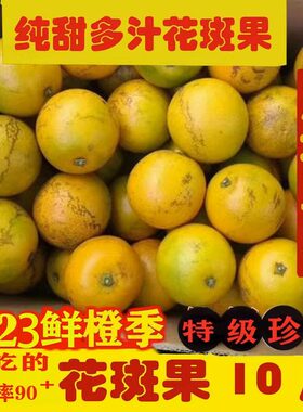 云南玉溪哀牢山老树花皮冰糖橙子褚花橙花斑果皮薄花斑冰糖般清甜