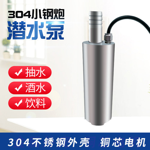 房车加水304不锈钢潜水小钢炮抽酒泵玻璃海水饮料果汁牛奶豆浆泵