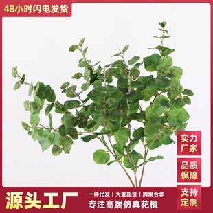 饰假植物枝条插花配材叶子绿植 仿真3比金钱叶尤加利叶酒店装