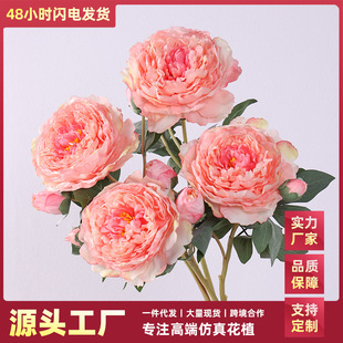 饰花洋牡丹假花婚庆用花束 复古焦边缤纷牡丹仿真花家居客厅摆件装