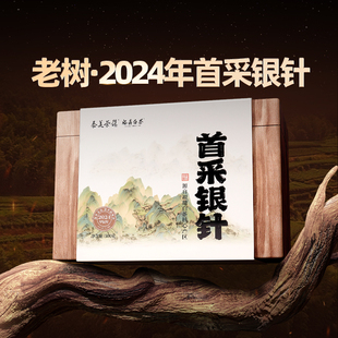 泰美茶镇2024年福鼎白茶首采白毫银针明前春茶毫香蜜韵500g礼盒装