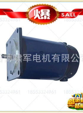 110SZ55 伺服直流电机 24V 308W 3000转 博山微电机