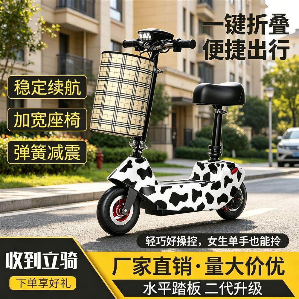 折叠车电动车带电池小型可折叠车