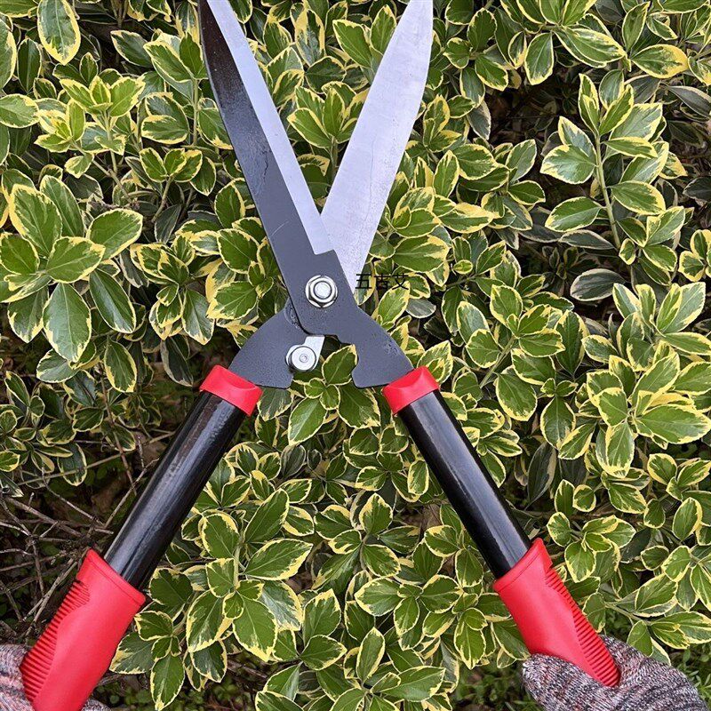 进口园艺剪刀绿篱剪草坪剪园林修枝剪绿化粗枝伸缩剪大力剪草坪剪