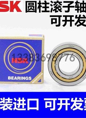 NSK进口圆柱滚子轴承NU NJ NF205 206 207 208 209 210 211M
