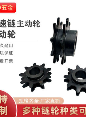 2.5倍速链轮WESP3.4.5主动轮从动轮BS25 C206BC208AC210A倍速链条