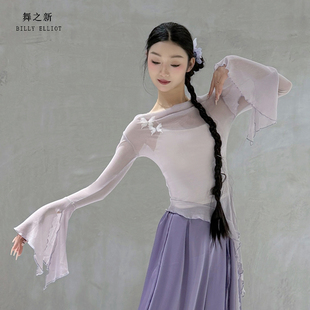 古典舞纱衣身韵中国舞练功服形体成人仙气演出服舞蹈上衣女款新款