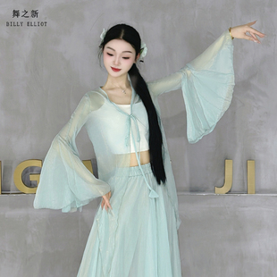 古典舞纱衣仙气表演成人秋冬中国舞演出服飘逸2025新款 舞蹈练功服