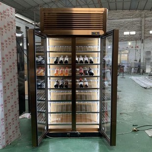 设计轻奢酒窖亚克力酒柜私人高档双门玻璃展示柜不锈钢恒温红酒柜