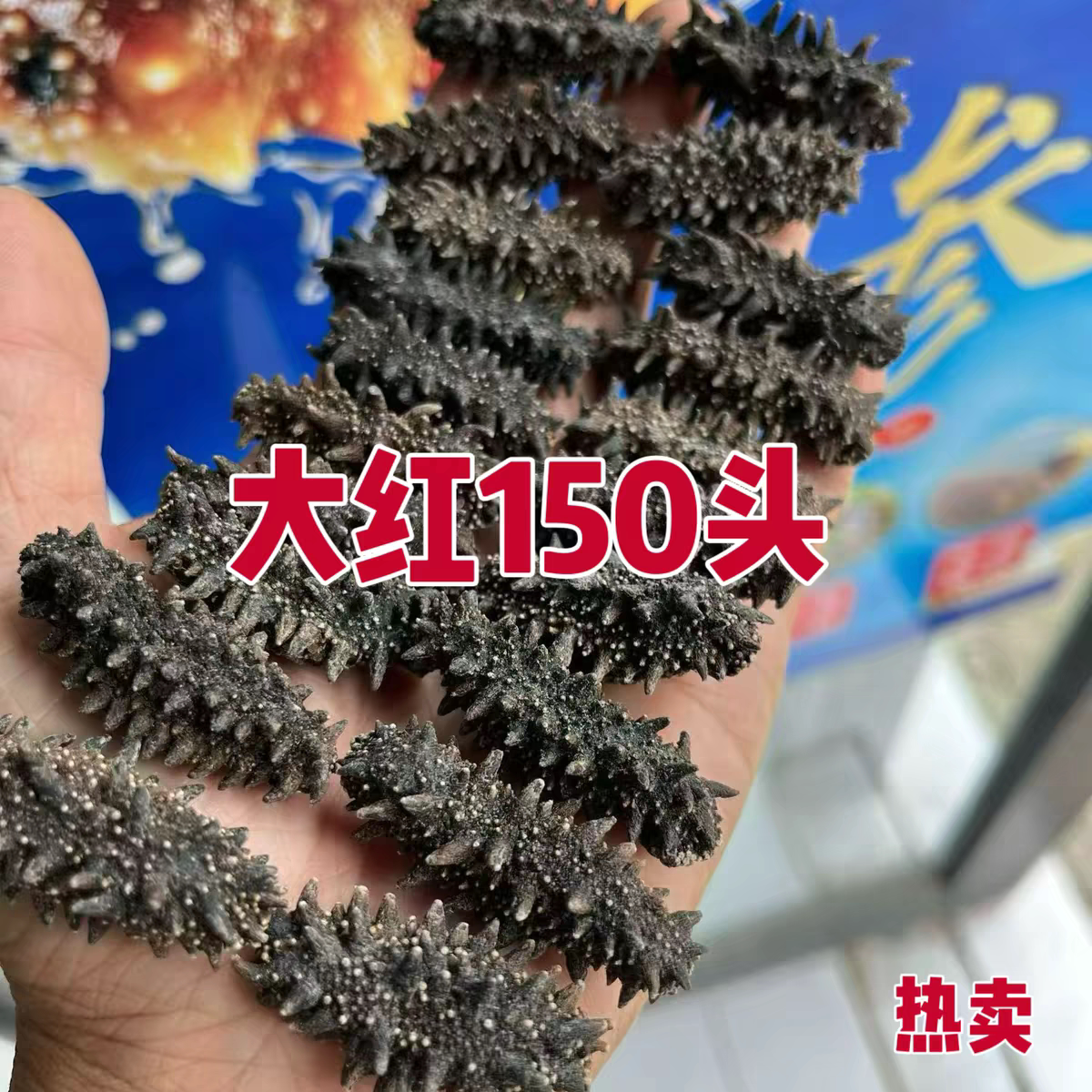 俄罗斯大红海参足干深海散装15干品/即食海参