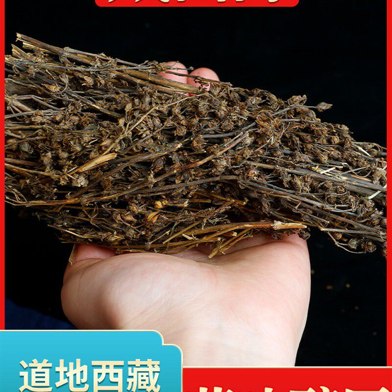 藏茵陈西藏高原精选整株野生正宗无硫中药材泡水煮水赶黄草苦胆草