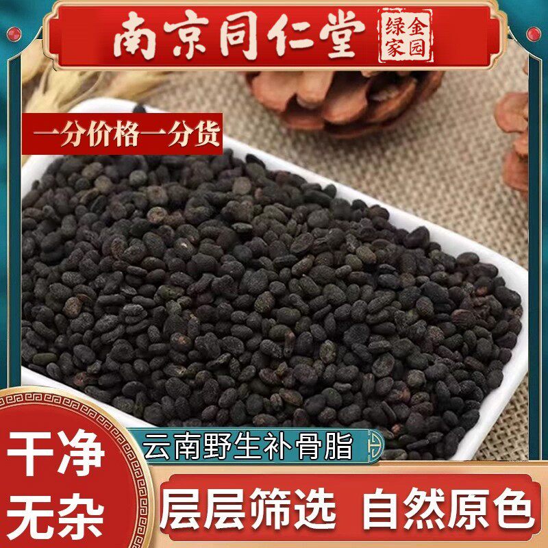 南京同仁堂补骨脂500g新货野生补骨脂粉破故纸补骨脂黑固脂中药材