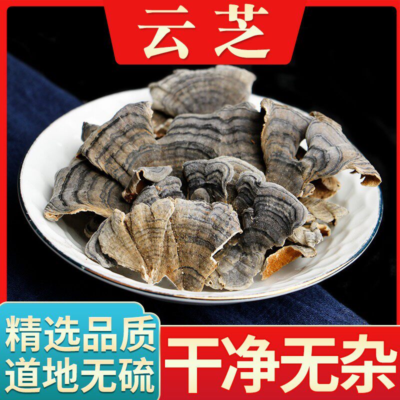 野生精选云灵芝中药材青芝黄云芝整枝 正品多糖正宗菌种孢子500g