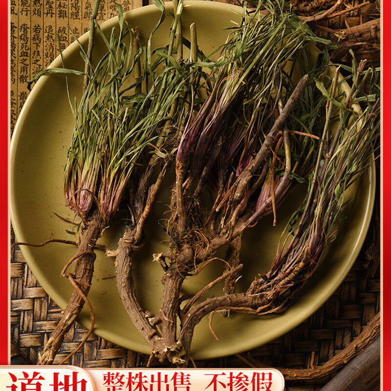 野生梓潼柴胡四川产北柴胡竹叶柴胡半表半里保留部分地上留茎叶