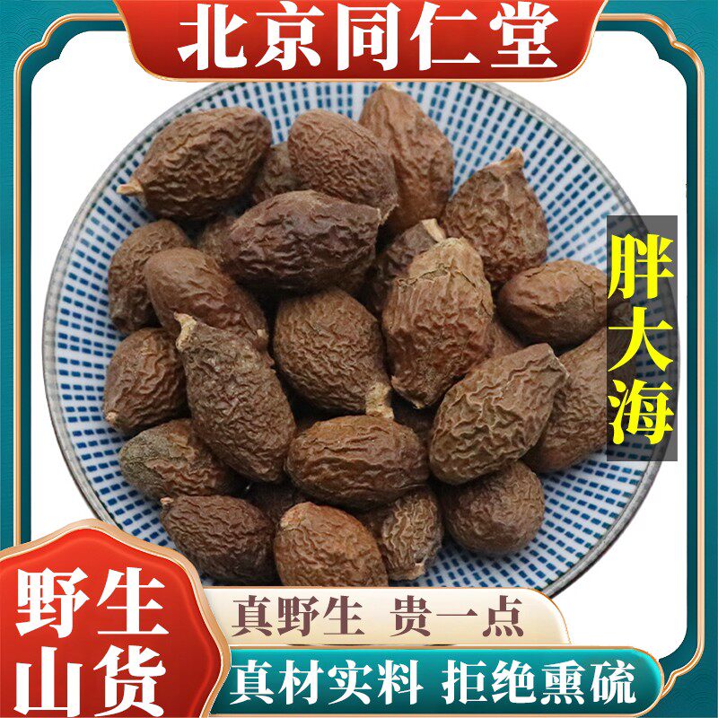 北京野生特级胖大海中药干果泡水天然无硫包邮正品原料100g