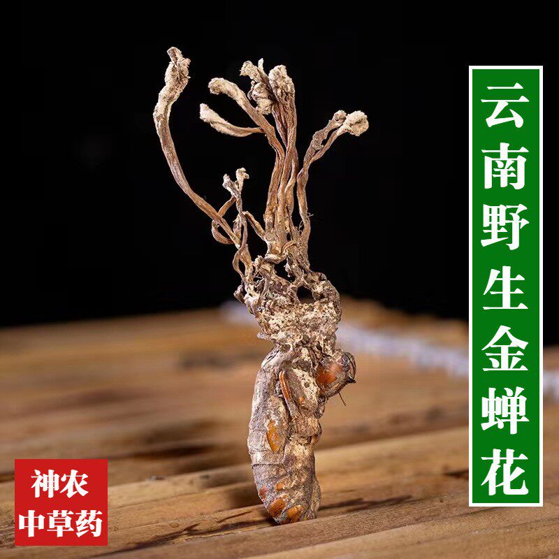 云南野生金蝉花100g中药材正品竹林蝉花知了花中草药特级新货品质