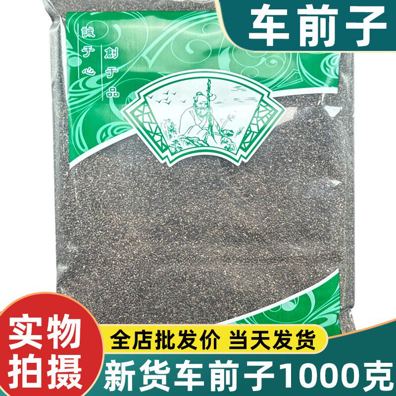 安国中药材市场新货车前子正品1000克车前草籽车前子茶