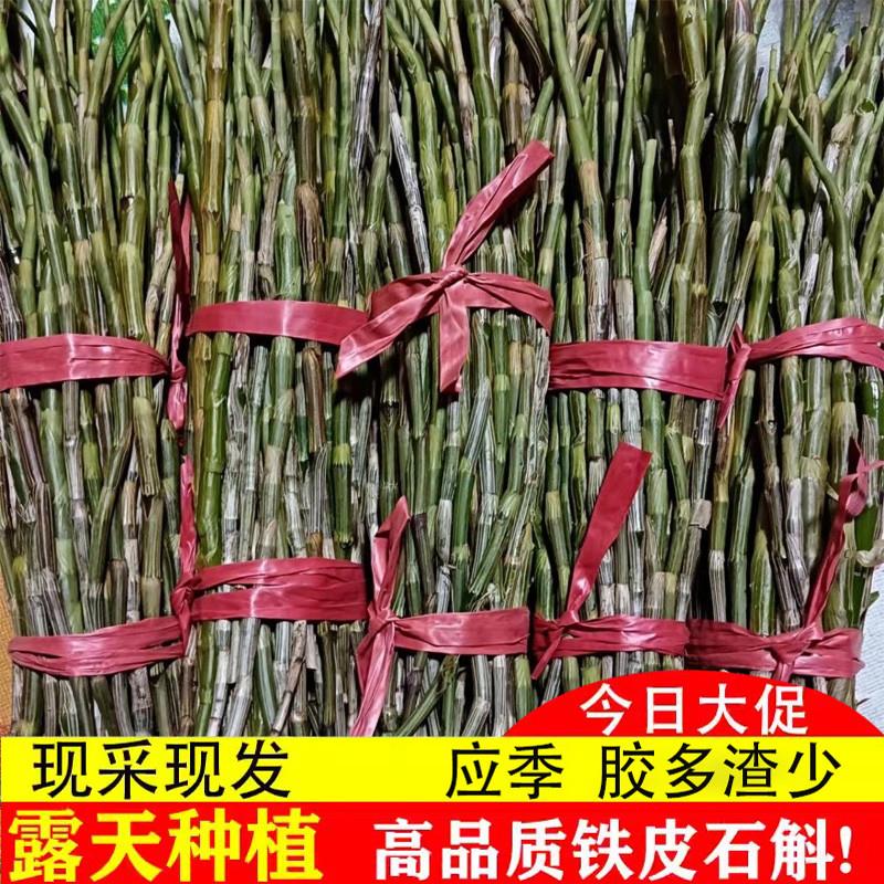 正品铁皮石斛干条500g四年生新鲜霍山枫斗中药材散装基地直销芽寸