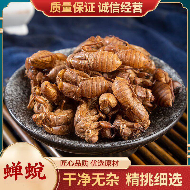 野生蝉蜕100g克蝉衣新货金蝉衣知了皮知了壳虫退蝉退壳中药材包邮