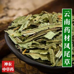 云南野生中草药凤尾草500g地道中药材精选特级干凤凰草别名金鸡尾