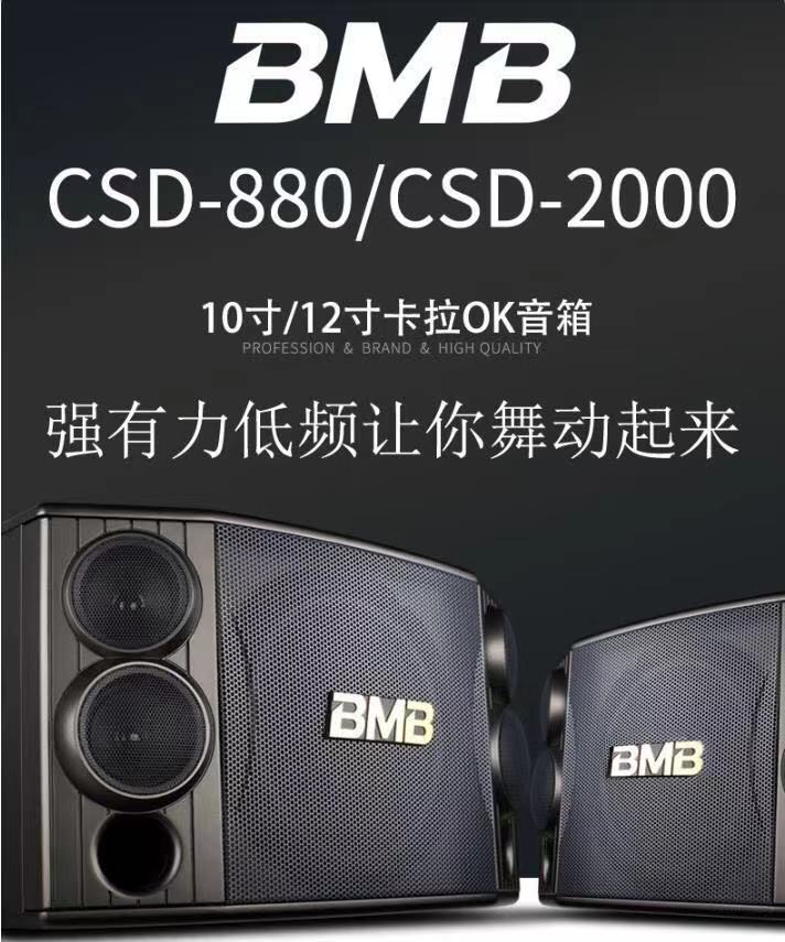 BMB CSD2000/880 10寸12寸KTV/卡拉OK音箱卡包会议工程舞蹈室音响 影音电器 KTV/卡拉OK音箱 原图主图