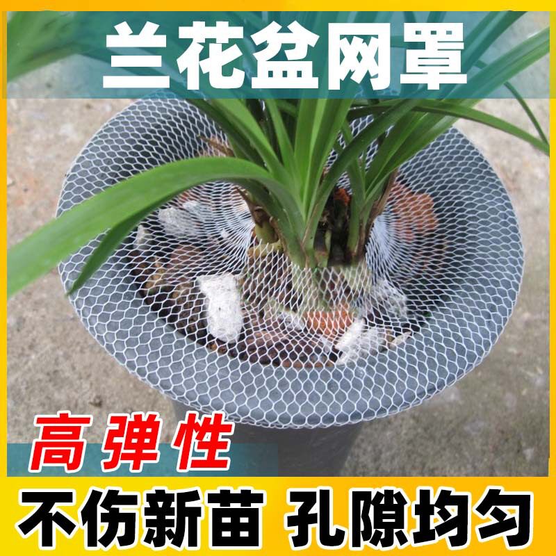 种植兰花网套塑料保护网套罩高弹防散落兰花专用网套兰盆网套