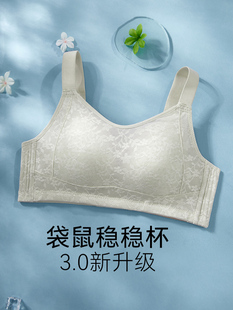 俏2025新款大胸显小全杯罩袋鼠稳稳杯云感提拉显瘦防下垂内衣