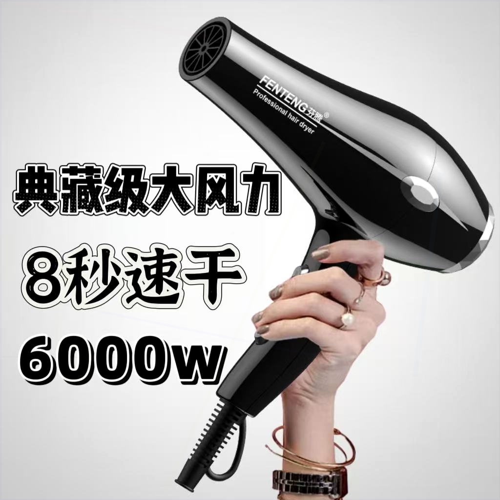 发大风力速干冷热德国发廊专用电