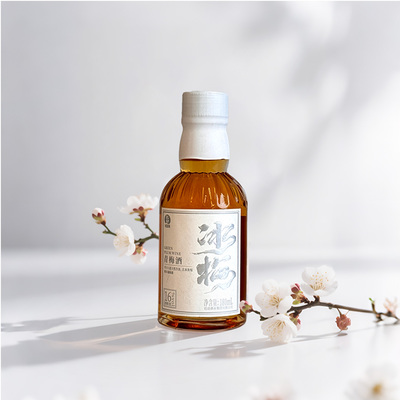 红动梅酒 青梅酒杨梅酒梅子酒杨梅酒果酒微醺小酒 180ml
