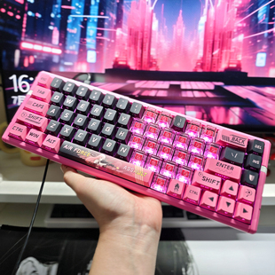 RS6二次元动漫粉色热升华PBT键帽EVA大全套侧刻透光磁轴爱心EV63
