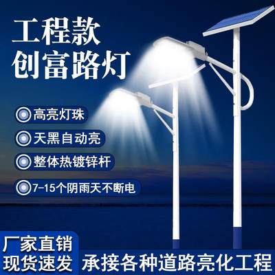 太阳能路灯新农村户外庭院灯6米LED工程照明人体感应路灯厂家定制