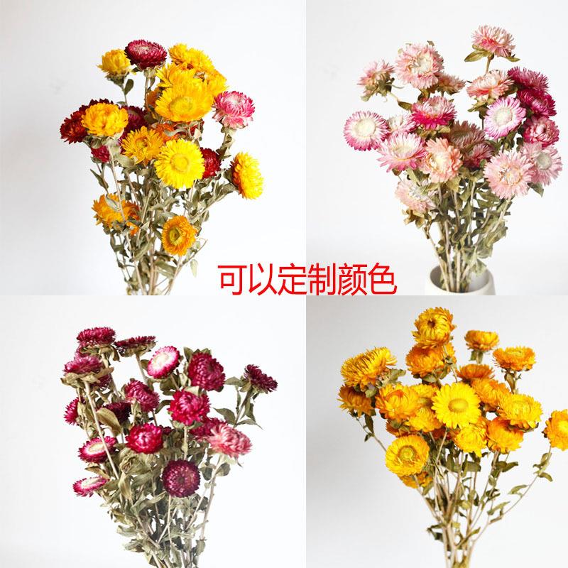 菠萝菊麦秆菊小雏菊彩菊花头小清新花束家居装饰摄影道具工厂定制