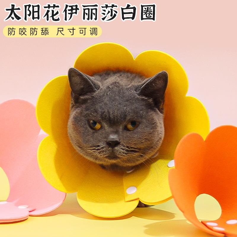 伊丽莎白圈猫咪太阳花沙白防舔绝育耻辱圈狗狗防咬保护罩定制