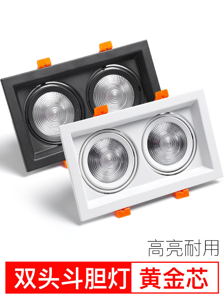 led长方形10x20双头斗胆灯格栅灯吊顶服装店铺商场射灯筒灯嵌入式