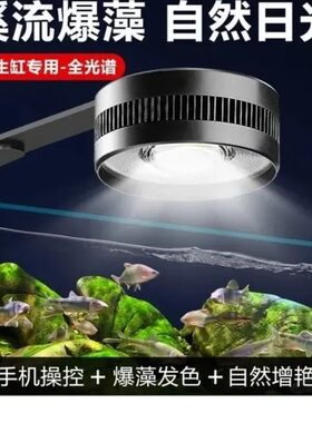 鱼缸灯全光谱手机定时筒灯爆藻灯爆青苔原生溪流专用灯金鱼水草灯