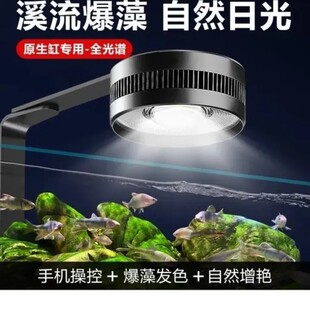 鱼缸灯水草灯爆藻原生态溪流缸灯出苔三湖全光谱植物生长灯筒灯
