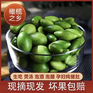 新鲜潮汕青橄榄生青果孕妇煲汤福建闽清檀香两头尖福州水果橄榄