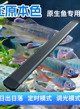原生溪流鱼缸led灯照明灯全光谱水草灯支架灯 小型鱼缸专用灯防水