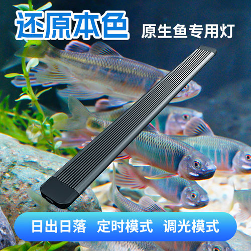 原生溪流鱼缸led灯防水