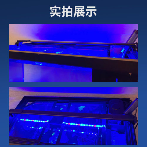 海缸珊瑚灯超蓝海水补光灯