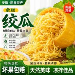 泗县金丝瓜搅瓜绞瓜茭瓜鱼翅瓜安徽天然粉丝农家新鲜黄金瓜面条瓜