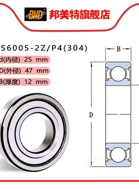 进口BMD不锈钢轴承S6000 S6001 S6002 S6003 S6004 S6005-2Z/P4