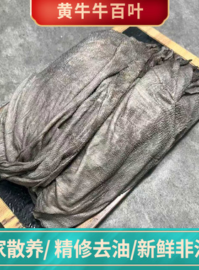 新鲜毛肚批发商用牛百叶带底板大叶片黑千层肚火锅专用食材10斤
