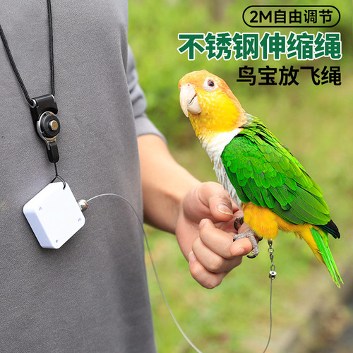 鹦鹉外出放飞绳轻量化不勒爪虎皮玄凤小太阳训练牵引遛鸟伸缩脚环