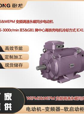 WEPM5-3000r/minIE5&GB1降中心高铁壳电机冷却方式IC411IC416