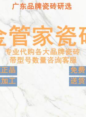 金管家瓷砖佛山7501500连纹