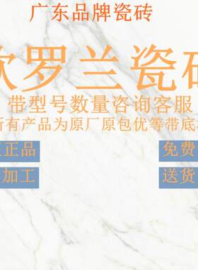 柔光砖瓷砖欧罗兰简约现代客厅